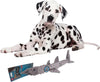 Spot® Skinneeez™ Extreme Triple Squeak 25" Dog Toy Shark