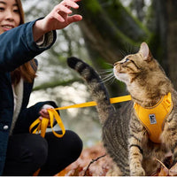 RC Pets Adventure Kitty Harness Daisies