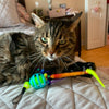 Chewmate Treatbrush for Cats