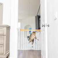 Spot® A-Door-Able Bouncing Mouse Cat Toy