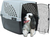 NozToNoz Pet Suite Multi-Use Pet Kennel SALE