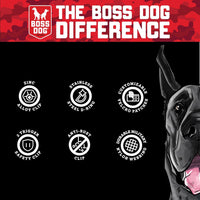 Boss Dog® Boss Tactical™ Black Harness with Boss Clips