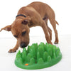 Company of Animals Slow Feeder SALE