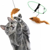 Spot® A-Door-Able Bouncing Mouse Cat Toy