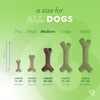 Benebone® Bacon Stick Dog Chew