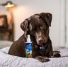 VetriCleanse Hypochlorous Pet Care Spray 225 ml