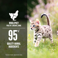 Orijen Chicken & Salmon Entree 5.5 oz (NEW)