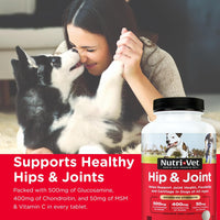 Nutri-Vet® Hip & Joint Advanced Strength Chewable Tablets (300 ct) for Dogs (Discontinued)