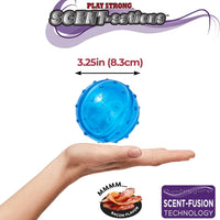 Spot® Scent-Sations Bacon Flavored Ball Dog Toy