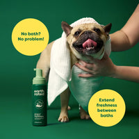 earth rated® White Tea & Basil No-Rinse Dog Shampoo 7oz