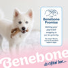 Benebone® Puppy Natural Rubber Bone & Nylon Wishbone Bacon Flavor 2-Pack