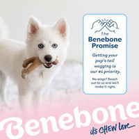 Benebone® Puppy Natural Rubber Bone & Nylon Wishbone Bacon Flavor 2-Pack