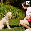 RC Pets Essential Treat Bag