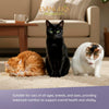 Evangers Heritage Classic Chicken Lickin’ Dinner for Cats