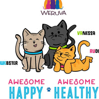 Weruva Pumpkin Patch Up! Variety Pack 1.05 oz