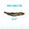 ICELANDIC+ Fish Treat Sprats Whole Fish 0.85 oz