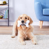 Multipet™ Chilly Bone White 7" Dog Toy