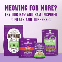 Stella & Chewy's® Meowfulls™ Cage-Free Turkey & Duck Recipe Freeze-Dried Raw Cat Treats 1.5oz