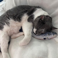 Spot® Flippin' Fish™ Cat Toy
