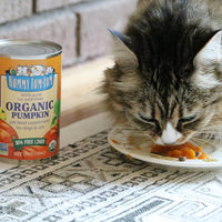Nummy Tum Tum Organic Pumpkin
