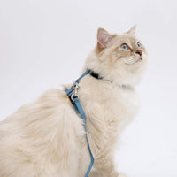 Catit Adjustable Nylon Harness & Leash Set - Light Blue SALE