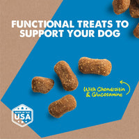 Cloud Star® Dynamo Dog® Hip & Joint Grain Free Soft Chews with Bacon Functional Dog Treat 14oz