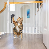 Spot® A-Door-Able Bouncing Mouse Cat Toy