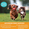 Progility Mini Hip & Joint for Small & Medium Dogs 60 Soft Chews
