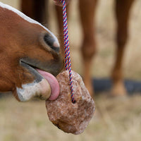Redmond Rock on a Rope 3 lb