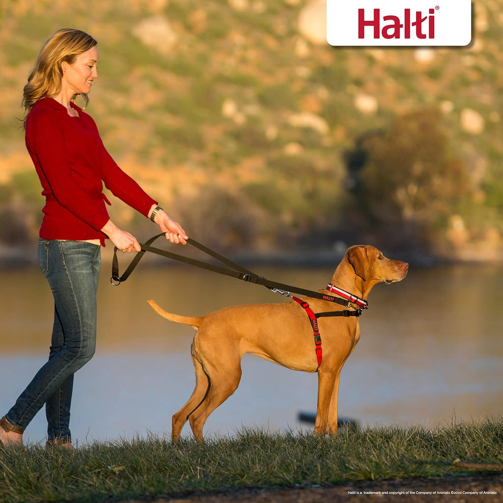 Company of Animals® Halti® Harness Black/Red Large