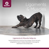 NaturPet® Ligaments & Muscles