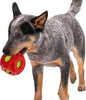 goDog® HOLIDAY Cage Ball with Furballz Dog Toy