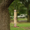 Perkys Pet Copper 2 In 1 Wild Bird Feeder Bird