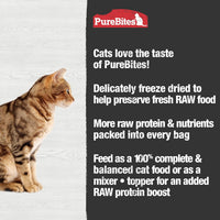 Purebites Chicken Recipe 2.8 oz Cat