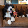 Multipet® Chicken Run® Rocky Latex Dog Toy