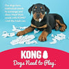 Kong® Fun Pack Medium for Dogs (5ct) (NEW)