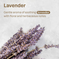 Attitude Natural Care – Deodorizing Shampoo- Lavender – 473 ml (NEW)