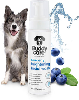 Buddycare™ Blueberry Brightening Facial Wash for Dogs 6.76 fl oz