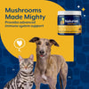 NaturVet Mushroom Max Advanced Immune Support