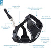 RC Pets Adventure Kitty Harness Tail Badges