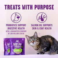 Stella & Chewy's® Meowfulls™ Cage-Free Turkey & Duck Recipe Freeze-Dried Raw Cat Treats 1.5oz