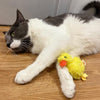 SPOT® Love The Earth Barnyard Bird Assorted 4" Cat Toy