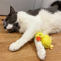 SPOT® Love The Earth Barnyard Bird Assorted 4" Cat Toy