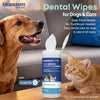 bluestem Dental Wipes 60ct for Dogs & Cats