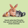 Kaytee Timothy Hay Small Animal 96 oz SALE