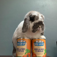 Nummy Tum Tum Organic Pumpkin