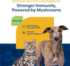 NaturVet Mushroom Max Advanced Immune Support