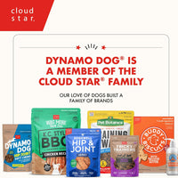 Cloud Star® Dynamo Dog® Hip & Joint Grain Free Soft Chews with Bacon Functional Dog Treat 14oz