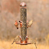 Perkys Pet Copper 2 In 1 Wild Bird Feeder Bird