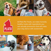 Plato Pet Treats Hundur's Crunch Jerky Minis